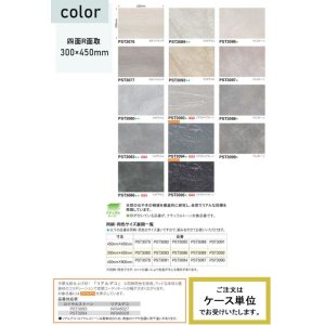 画像2: 東リ 塩ビタイル  ロイヤルストーン (300mm×450mm) ケース（20枚） FT   300mm×450mm色柄サイズともに豊富な石目柄プリントタイル。