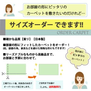 画像8: 東リ  日本製 多機能カーペット 【ボンフリー2 8畳】ウールラグ/抗菌/防炎/防ダニ/子供/ペット/絨毯/静電/カーペット(ホットカーペット/床暖房/春夏秋冬用/オールシーズン/じゅうたん/ラグ/遊び毛無し ★送料無料(北海道沖縄離島除く)