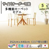 東リ  日本製　多機能カーペット 【セグエ　10畳】ラグ/抗菌/防炎/防ダニ/子供/ペット/絨毯/静電/カーペット(ホットカーペット/床暖房/春夏秋冬用/オールシーズン/じゅうたん/ラグ/遊び毛無し ★送料無料（北海道沖縄離島除く）