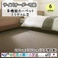 画像1: 東リ  日本製　多機能カーペット 【ミリティム2　6畳】ラグ/抗菌/防炎/防ダニ/子供/ペット/絨毯/静電/カーペット(ホットカーペット/床暖房/春夏秋冬用/オールシーズン/じゅうたん/ラグ/遊び毛無し ★送料無料（北海道沖縄離島除く） (1)