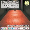 画像1: 東リ  日本製　多機能カーペット 【シャサーヌ　6畳】ラグ/抗菌/防炎/防ダニ/子供/ペット/絨毯/静電/カーペット(ホットカーペット/床暖房/春夏秋冬用/オールシーズン/じゅうたん/ラグ/遊び毛無し ★送料無料（北海道沖縄離島除く） (1)