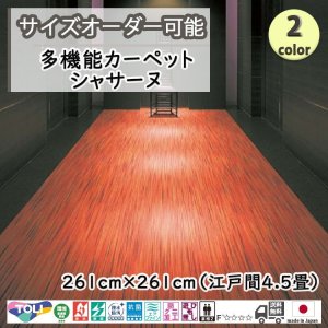 画像1: 東リ  日本製　多機能カーペット 【シャサーヌ　4.5畳】ラグ/抗菌/防炎/防ダニ/子供/ペット/絨毯/静電/カーペット(ホットカーペット/床暖房/春夏秋冬用/オールシーズン/じゅうたん/ラグ/遊び毛無し ★送料無料（北海道沖縄離島除く）