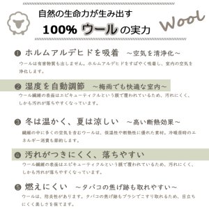 画像7: 東リ  日本製 多機能カーペット 【ボンフリー2 8畳】ウールラグ/抗菌/防炎/防ダニ/子供/ペット/絨毯/静電/カーペット(ホットカーペット/床暖房/春夏秋冬用/オールシーズン/じゅうたん/ラグ/遊び毛無し ★送料無料(北海道沖縄離島除く)
