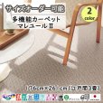 画像1: 東リ  日本製　多機能カーペット 【マレユール2　3畳】ラグ/抗菌/防炎/防ダニ/子供/ペット/絨毯/静電/カーペット(ホットカーペット/床暖房/春夏秋冬用/オールシーズン/じゅうたん/ラグ/遊び毛無し ★送料無料（北海道沖縄離島除く） (1)