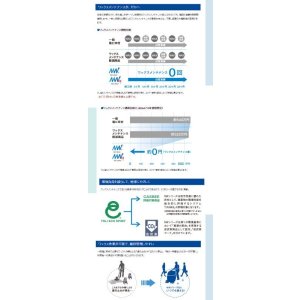 画像3: 東リ　コンポジションビニル床タイル バイオミックストーン (厚さ3mm) ケース(8枚)  600mm×600mm