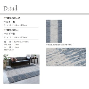 画像2: 東リ ラグ　TOR4806-M / 160cm×230cm　 空間がグレードアップする高品質なウィルトンラグ。