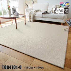 画像1: 東リ ラグ TOR4701Q   190cm×190cm  和のスタイルだけでなくさまざまな空間に使いやすい平織ラグ。お掃除のしやすさもポイントです。
