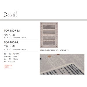 画像2: 東リ ラグ　TOR4807-L / 200cm×250cm グレーベースの穏やかな色彩でインテリアにマッチしやすいギャッベ柄。
