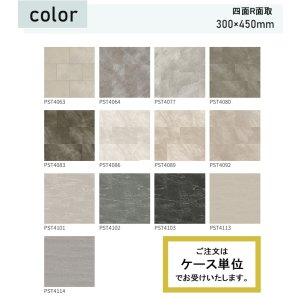 画像2: 東リ 塩ビタイル  ロイヤルストーン (300mm×450mm) ケース（20枚） FT   300mm×450mm 色柄サイズともに豊富な石目柄プリントタイル。