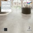 画像1: 東リ   ロイヤルストーン・ミラージュ（60ｍｍ×600ｍｍ）10枚／ケース<br>見る角度によって色の変化を感じさせる輝度顔料を表層に取り入れたデザイン。 エコマーク認定商品。 (1)