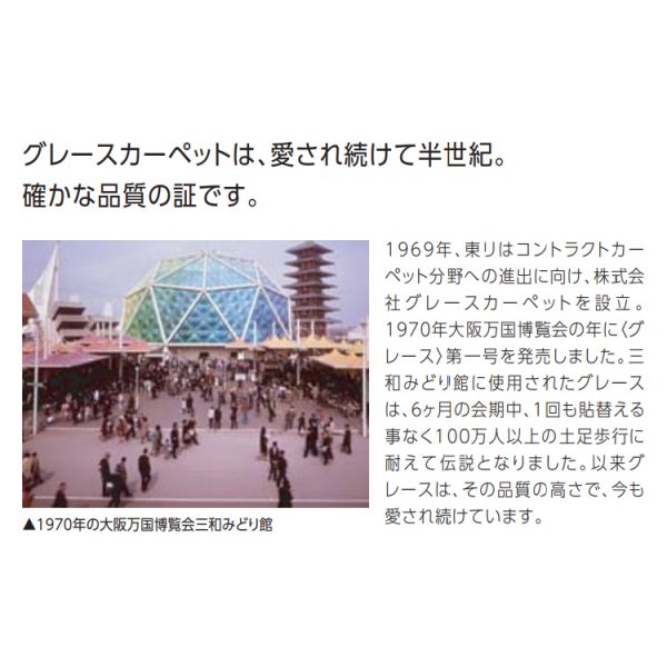画像7: 東リ  日本製　多機能カーペット 【グレース　1.5畳】ラグ/抗菌/防炎/防ダニ/子供/ペット/絨毯/静電/カーペット(ホットカーペット/床暖房/春夏秋冬用/オールシーズン/じゅうたん/ラグ/遊び毛無し ★送料無料（北海道沖縄離島除く） (7)