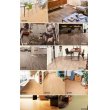 画像8: 【東リ】クッションフロア CFシート P（1m単位での販売） 1820mm（厚2.3mm）<br>ペットとの暮らしにおすすめ！高い耐久性とクッション性を兼ね備えたCFシート。<br>抗ウィルス、抗菌、防臭、床暖房対応<br>※2024年7月25日より新品番になっております。 (8)